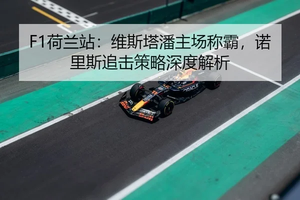 F1荷兰站：维斯塔潘主场称霸，诺里斯追击策略深度解析